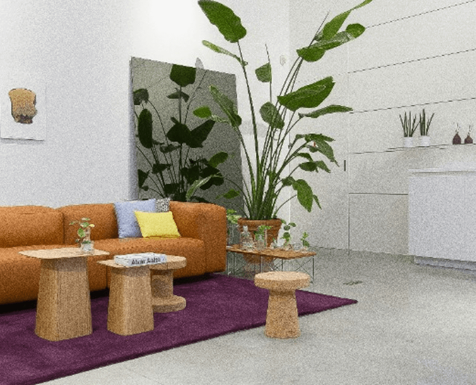 Solana Priority Fees Explained